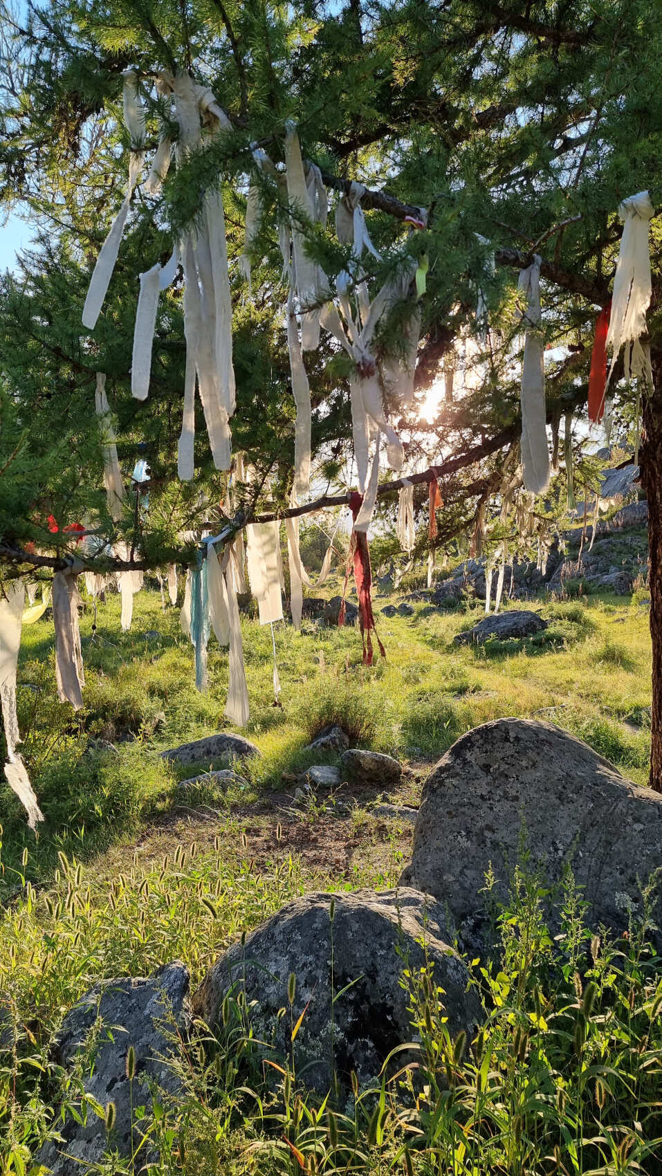 Золотое кольцо Алтая. Долина реки Чулышман (7/34)