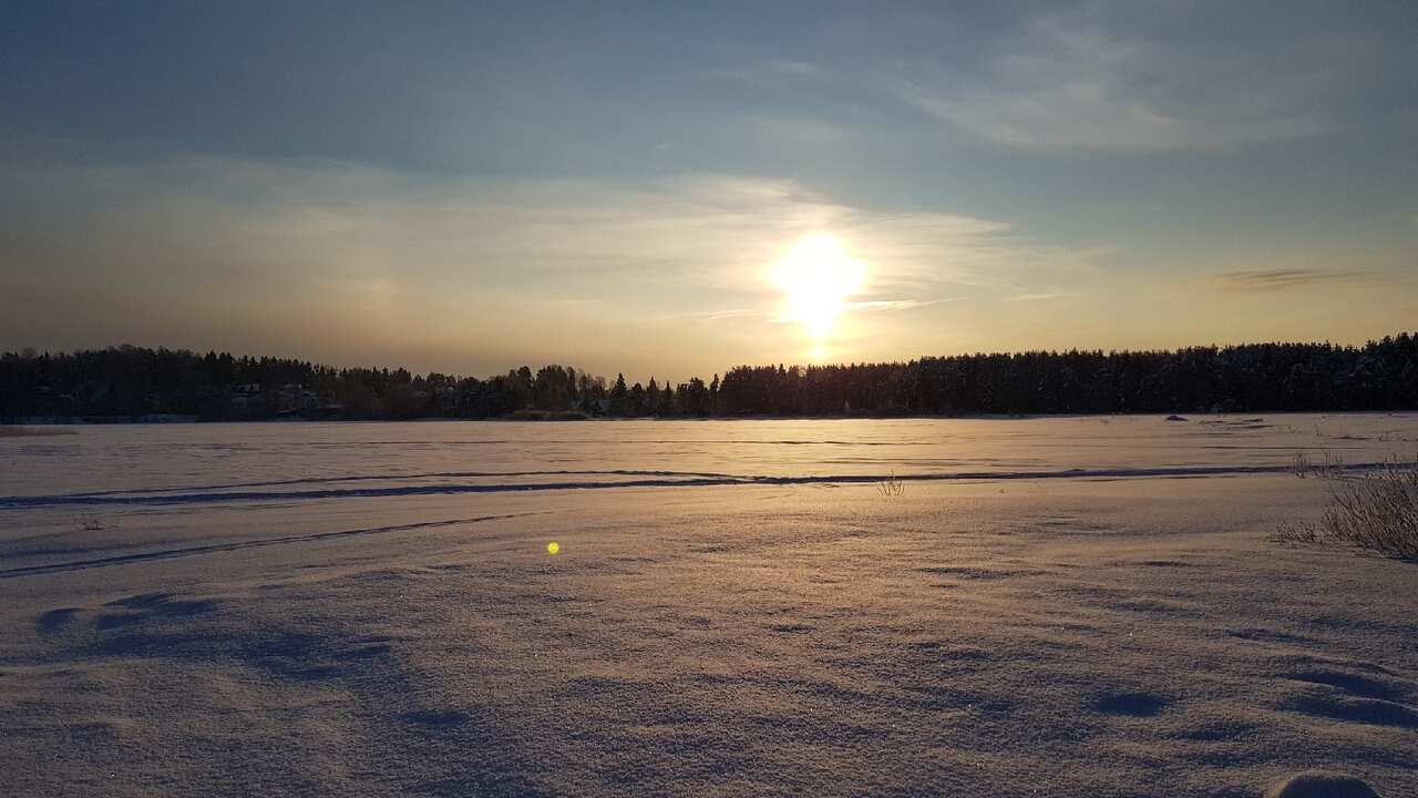 Лыжный день по сказочным местам. Однодневный выезд из Петербурга (17/17)