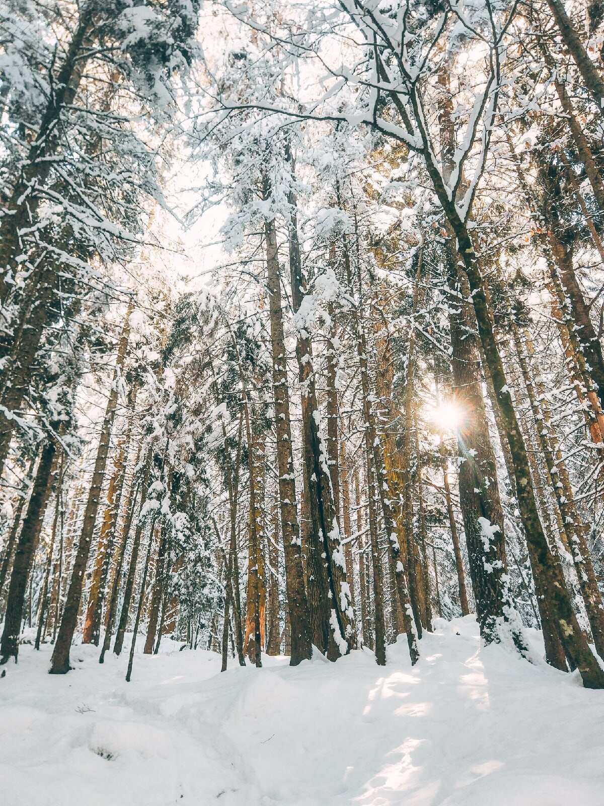 4х дневный актив-тур в Архыз (9/25)