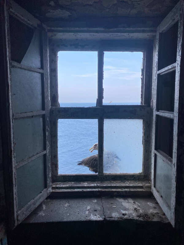 Комфортная экспедиция на Итуруп и Сахалин (8/61)