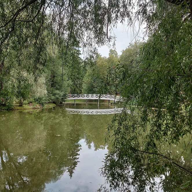 Осенняя пора! Очей очарованье! Экскурсия в Большое Болдино (4/7)