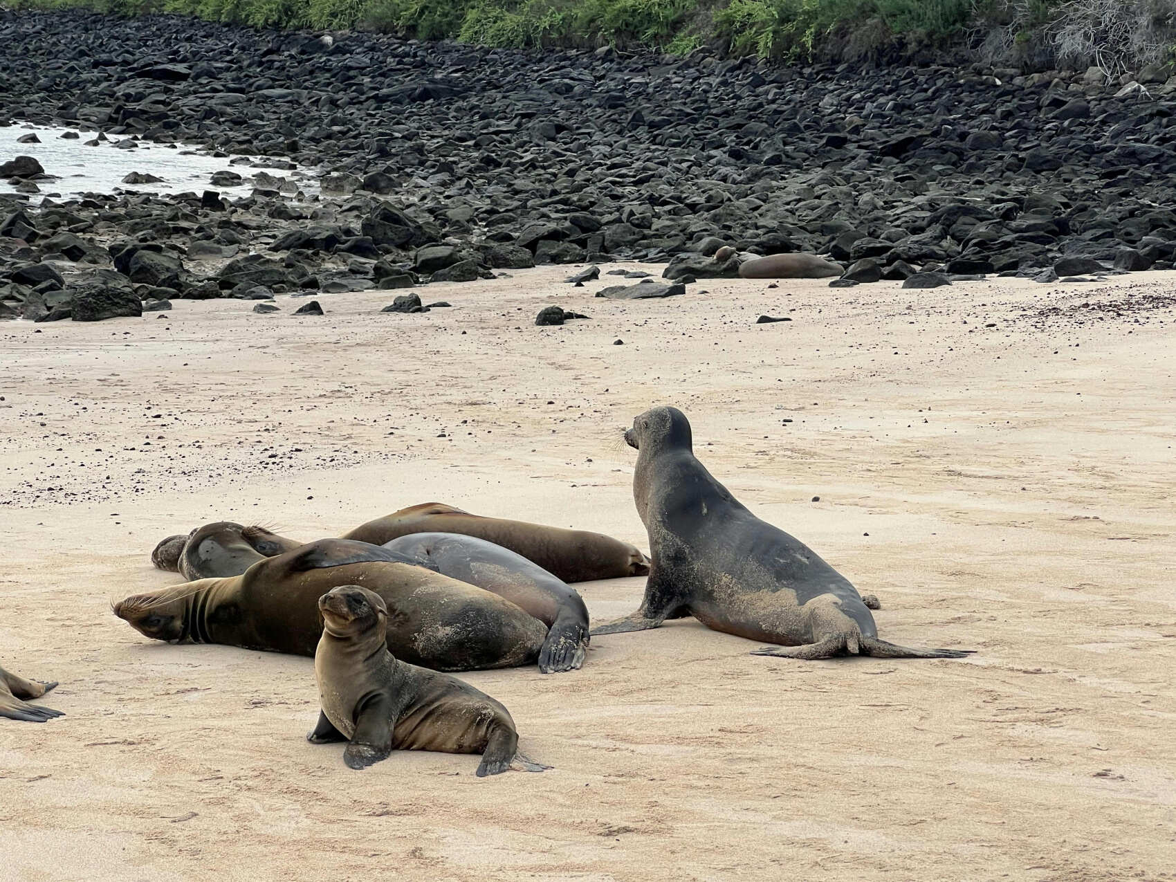 5-дневная приключенческая поездка на Галапагосские острова (6/7)