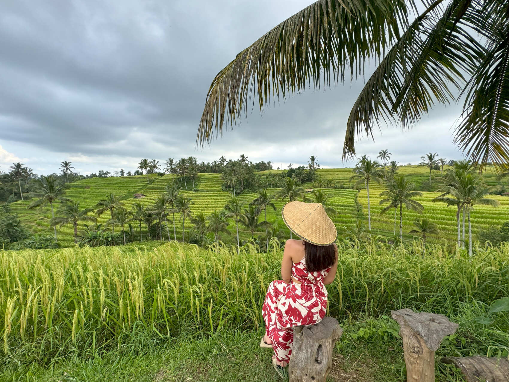 Тур на Бали: остров за 9 дней (3/57)