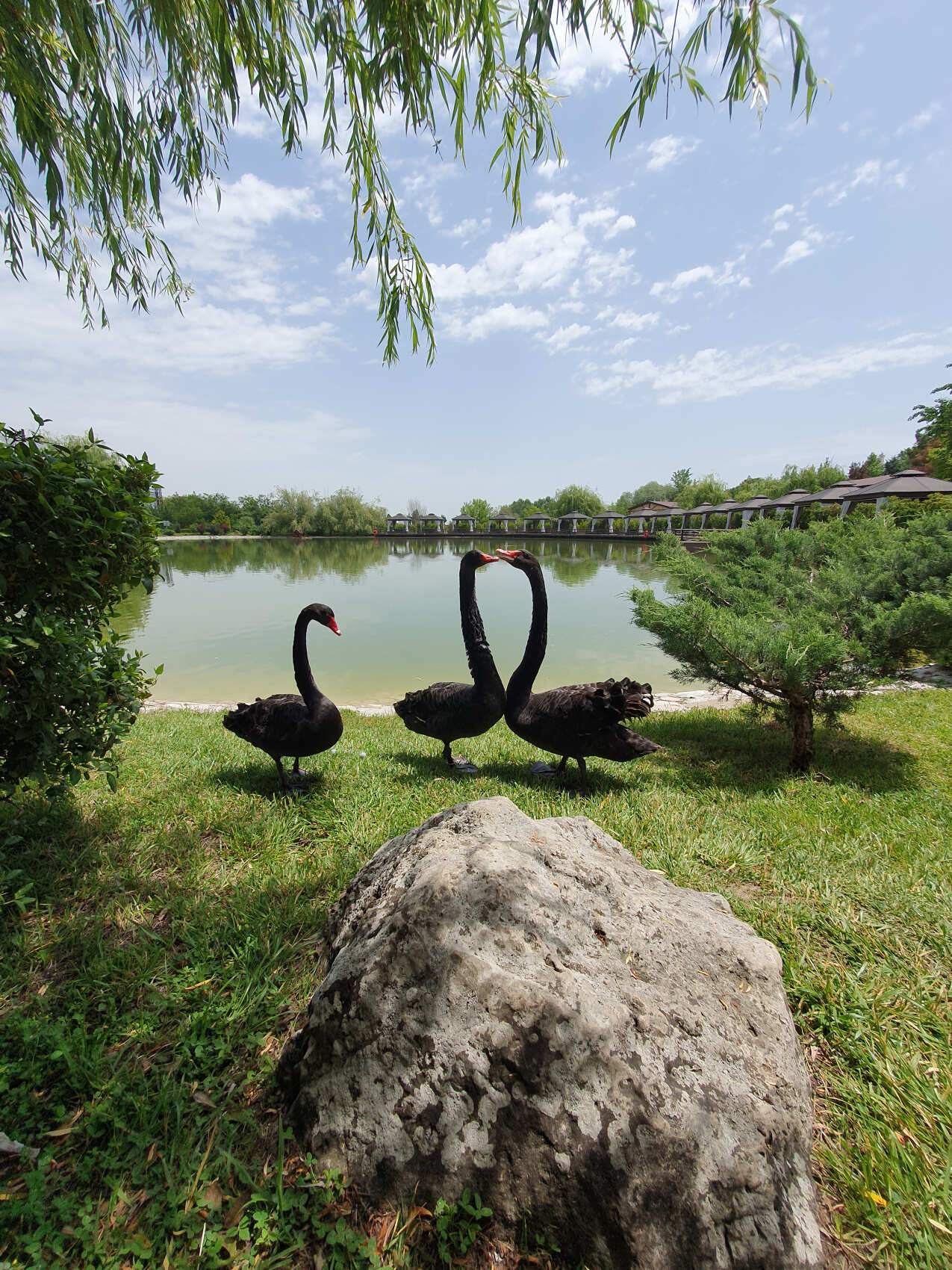 Увидеть весь Азербайджан за 8 дней (63/201)