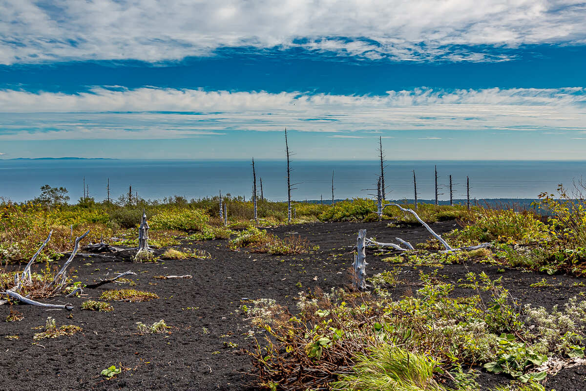 Четыре вулкана Курильских островов. Путешествие на другую планету (38/186)