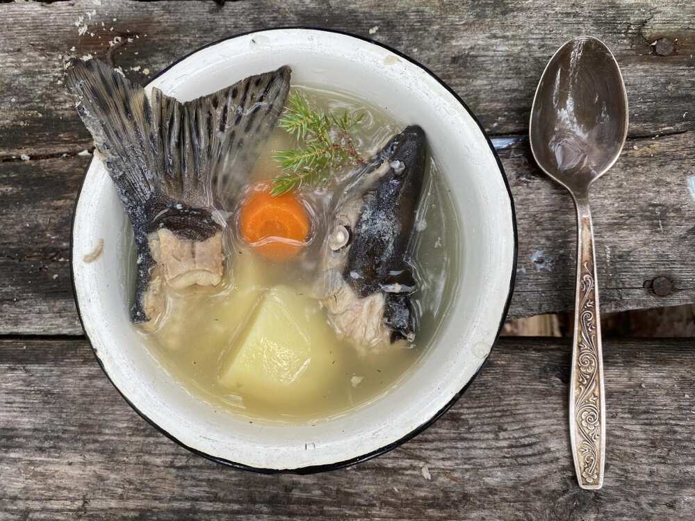 Сплав по реке Пистайоки (17/33)