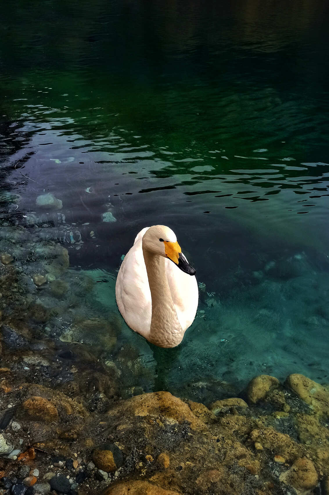 Язык Тролля и Голубые озёра, индивидуальный тур - экскурсия в Верхнюю Балкарию (9/26)