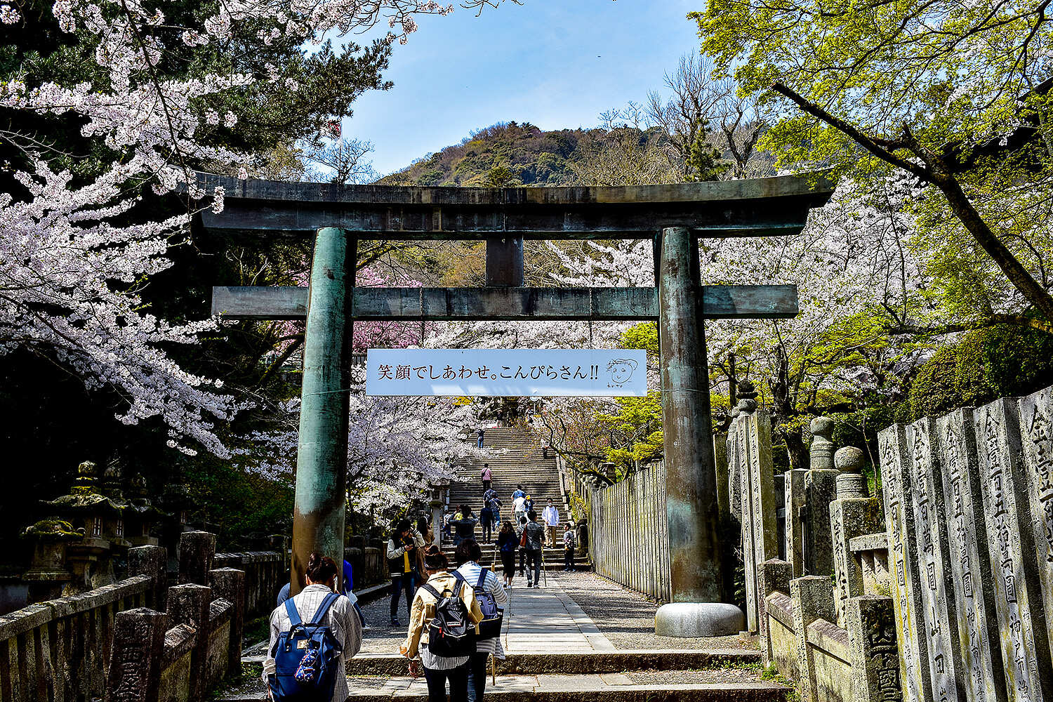 Там, где родилась Япония (7/54)