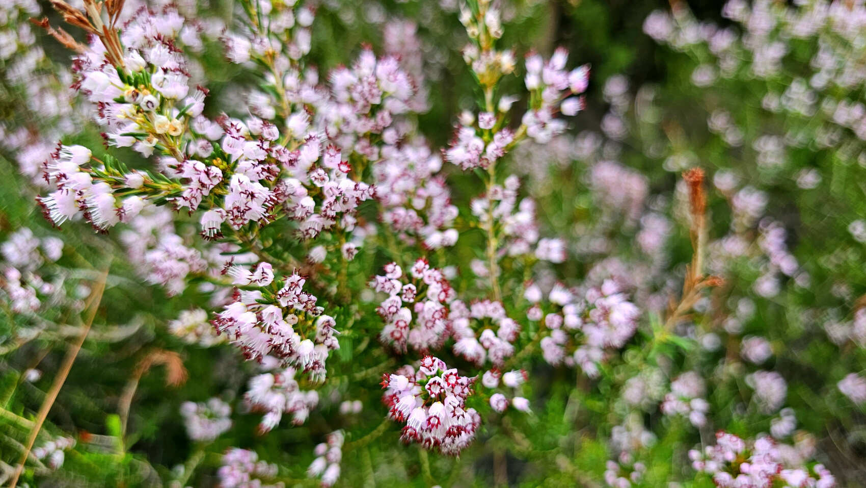 Треккинг по Ликийской тропе (без рюкзаков) (8/53)