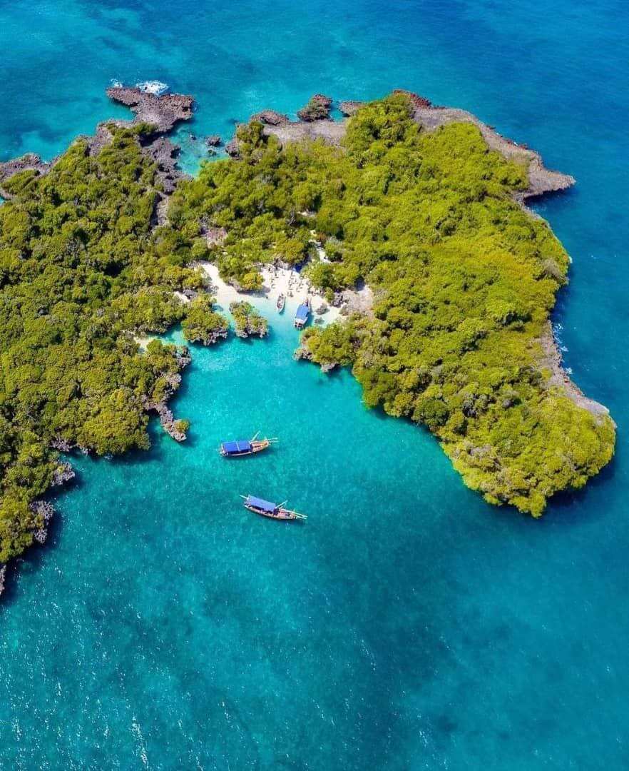 Удивительный Занзибар  и Один День В Танзании, увидеть большую пятёрку (31/89)