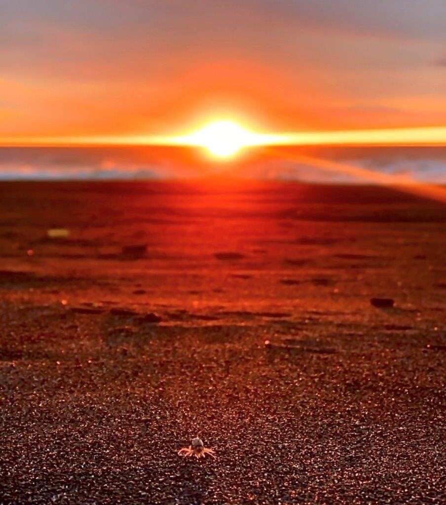 Величественный пляж 