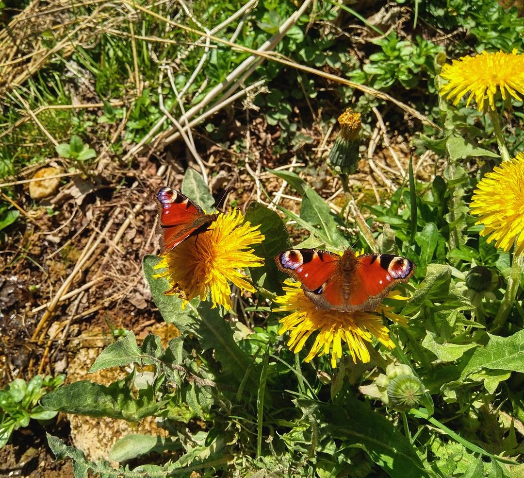 На водопад Радужный (6/7)