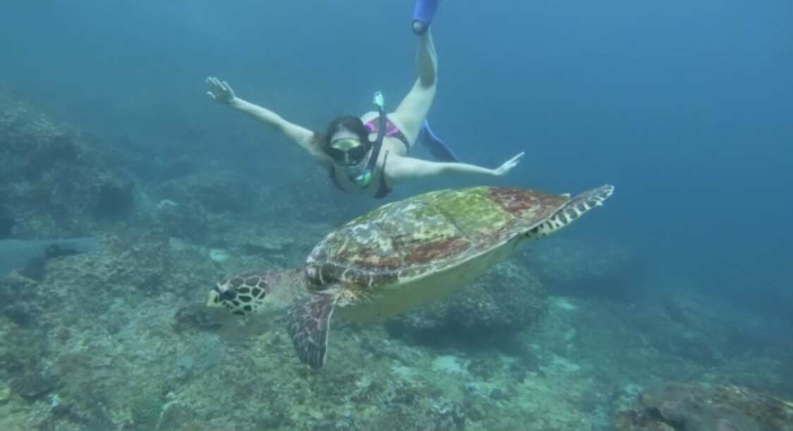 Путешествие на необитаемые острова архипелага Phi Phi. Сноркелинг с черепахами (7/41)