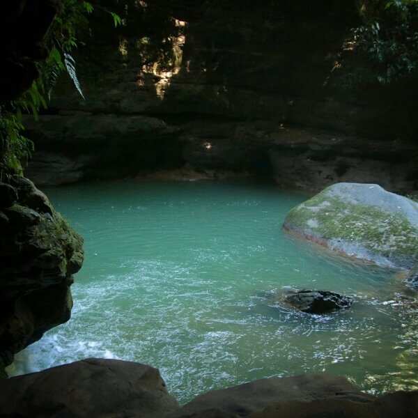 Четырехдневный экологичный лодж Amazon (7/7)