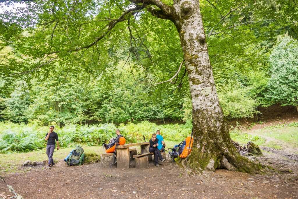 Через горы к морю по 30 маршруту (5/23)