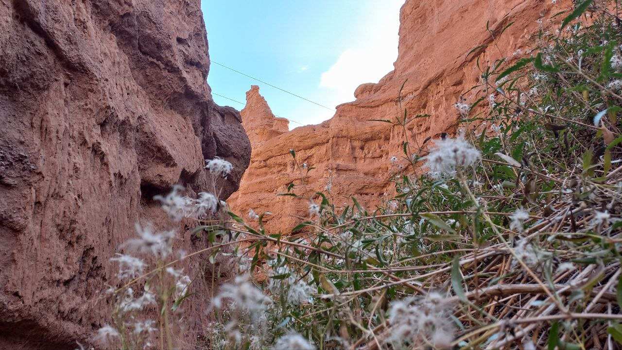Захватывающее озеро Иссык-Куль и каньоны Кок-Мойнок (15/20)