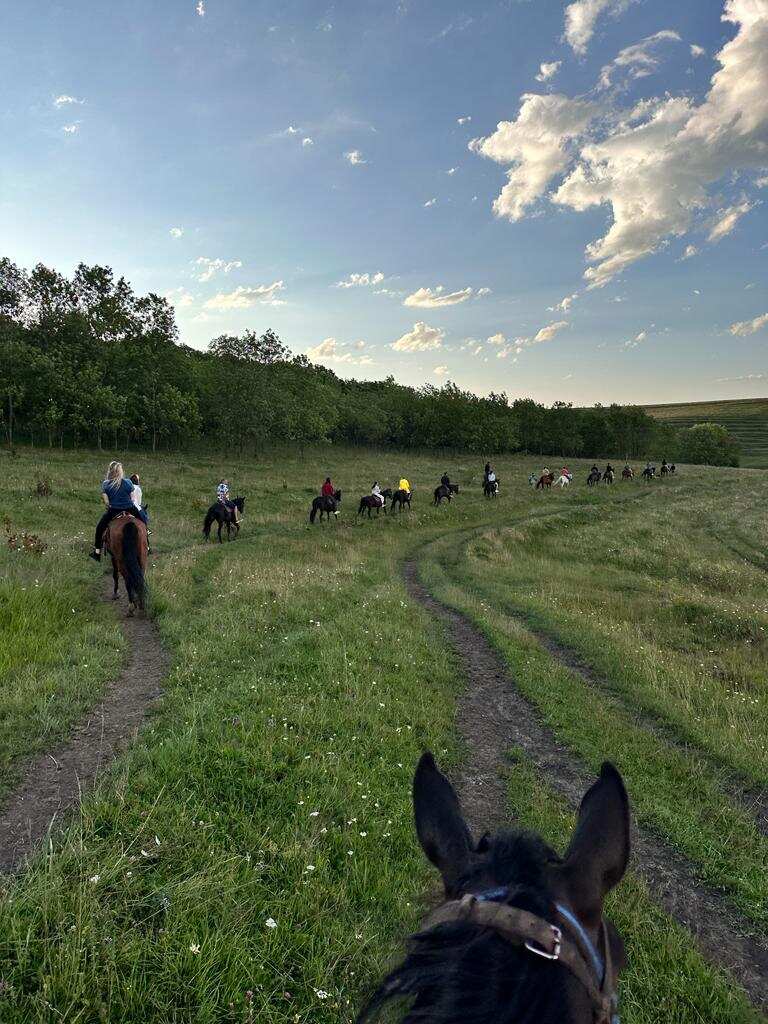 Конная прогулка в окрестностях Кисловодска (6/9)