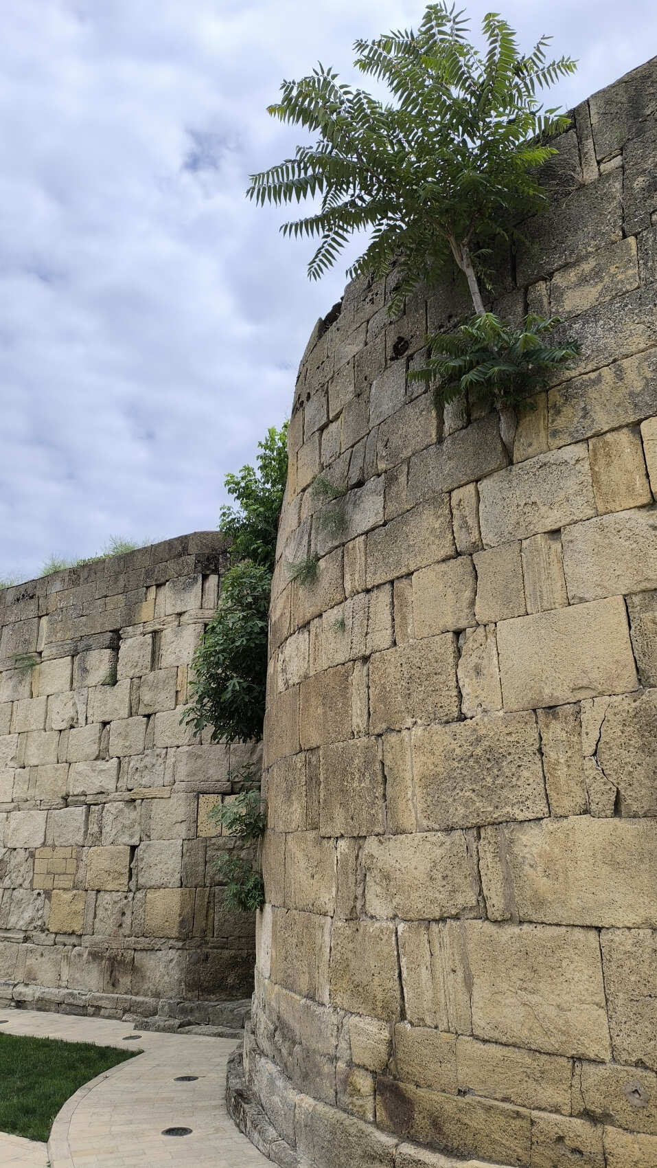 Знакомство с виноделием Дербента, экскурсия из Махачкалы. (5/15)