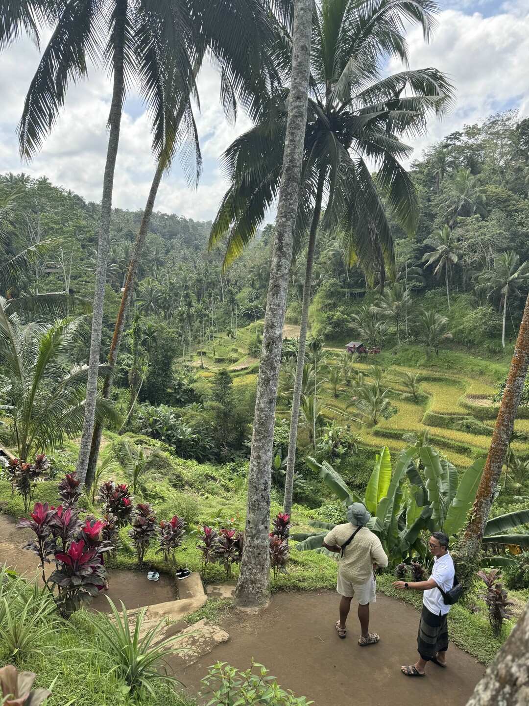 Бали, который вы ждёте! (7/89)