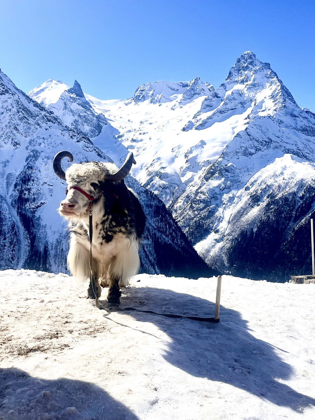 Джип  тур  в изюминку Кавказа  Домбай (10/34)