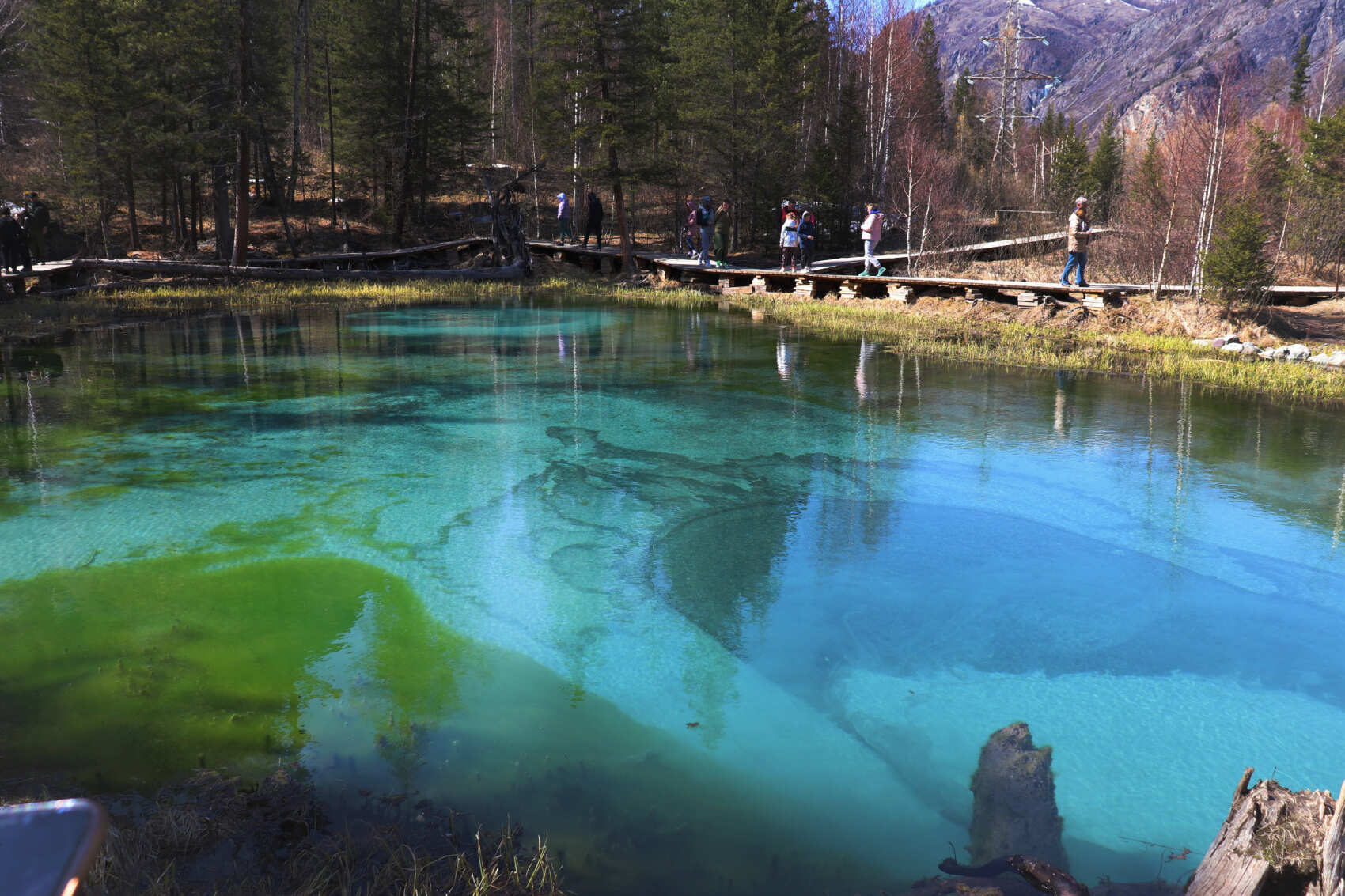  Майские-2026: Чемал, Телецкое, Чуйский тракт и Кату-Ярык (группа до 6 чел.) (11/46)