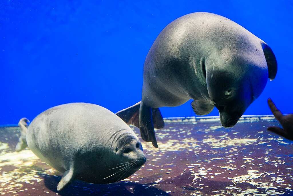 Байкальское Кругосветное Путешествие. Самый Насыщенный Тур по Байкалу. (15/113)