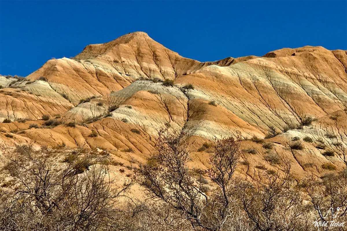 Жаркент- юго-восточные ворота Казахстана (7/17)