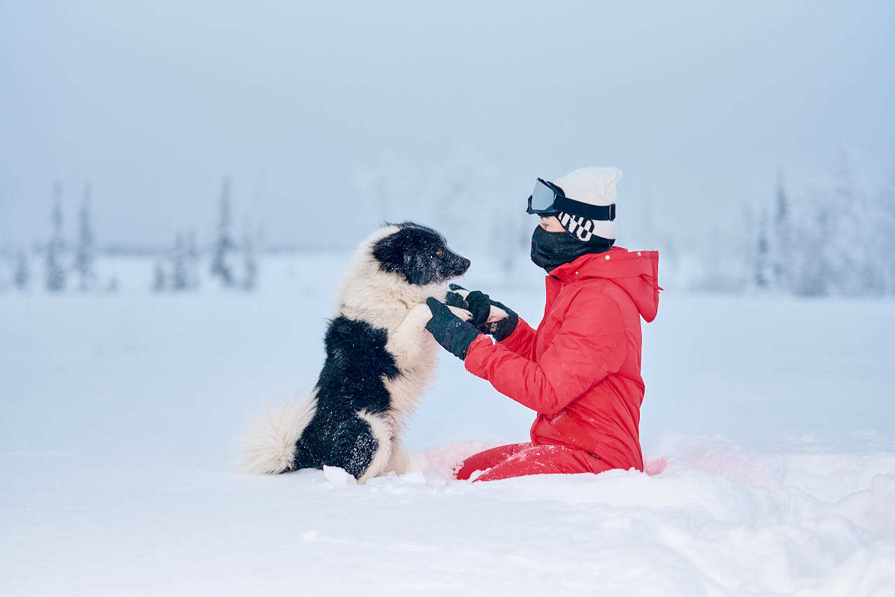 Чумовая Жизнь. Тундра-Тур На Ямал (4/17)
