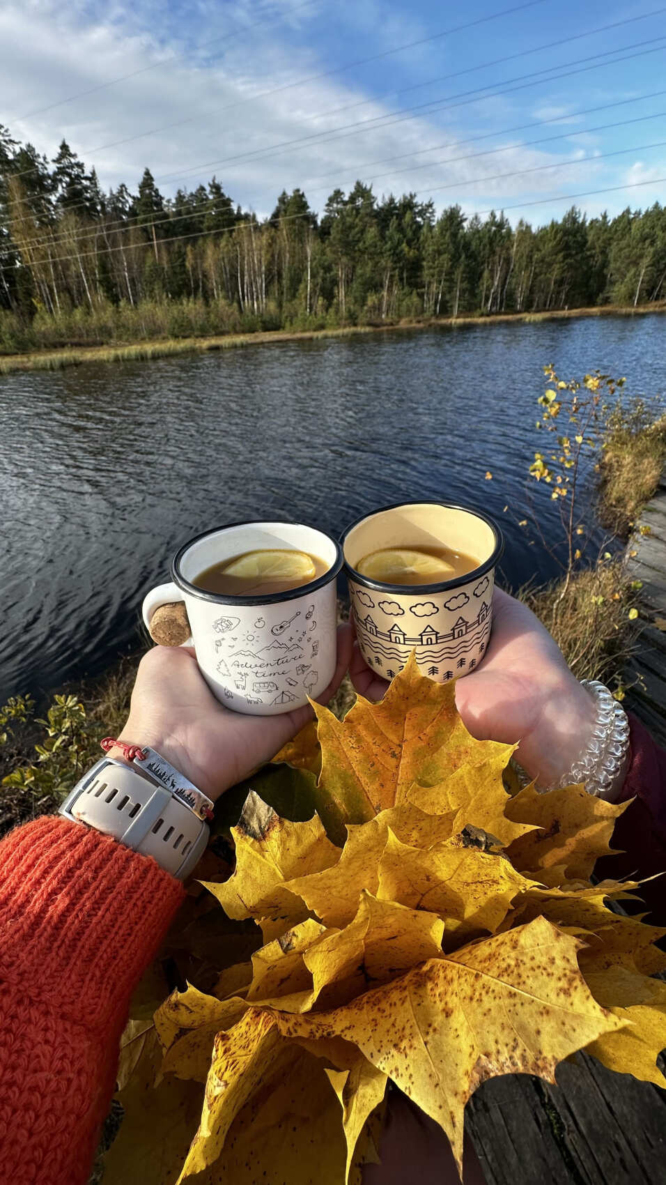 Пеший поход Звенигородская биостанция Мгу и карьер Сима (9/9)
