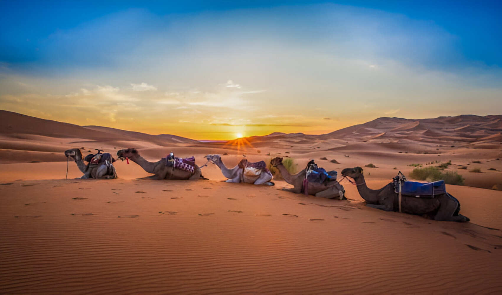 Desert Dreams & Imperial Cities: 8 Days Across Morocco (1/33)
