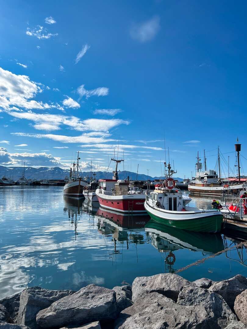 Исландия: страна льда и пламени (29/59)