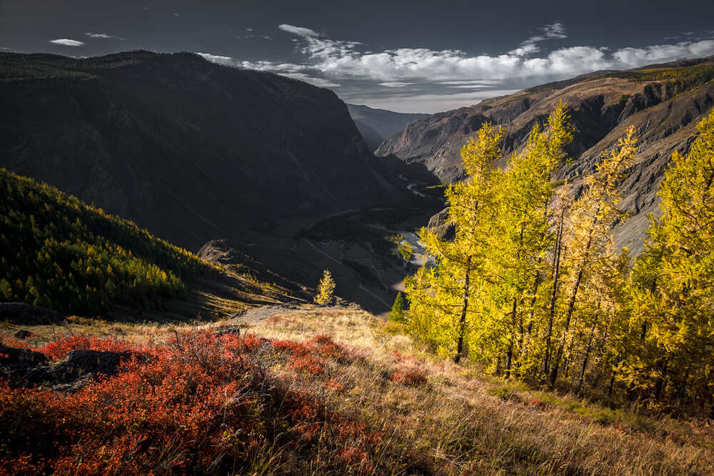 Фототур Золото Алтая (11/79)