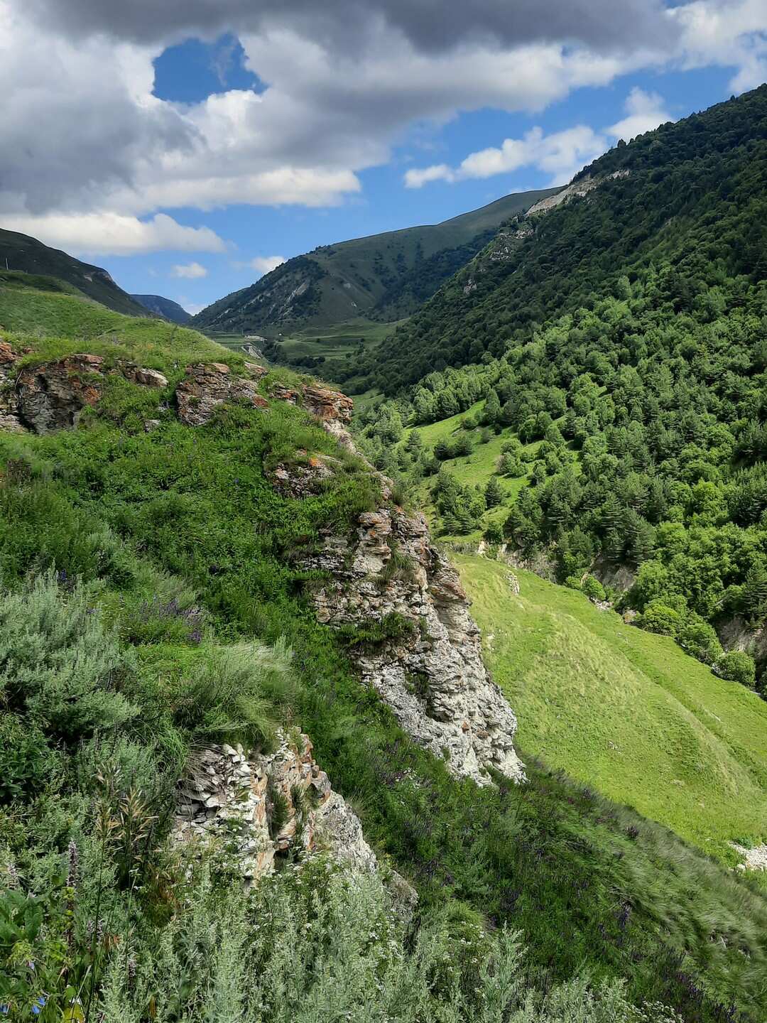 Чечня! История и Величие Кавказа. Из Владикавказа (44/51)