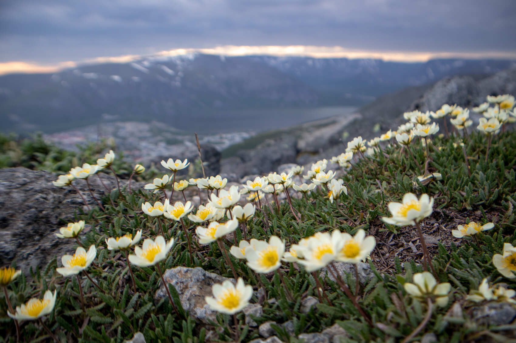 Водопады Северного края: Долина Славы + Хибины + Териберка + Мурманск (30/38)