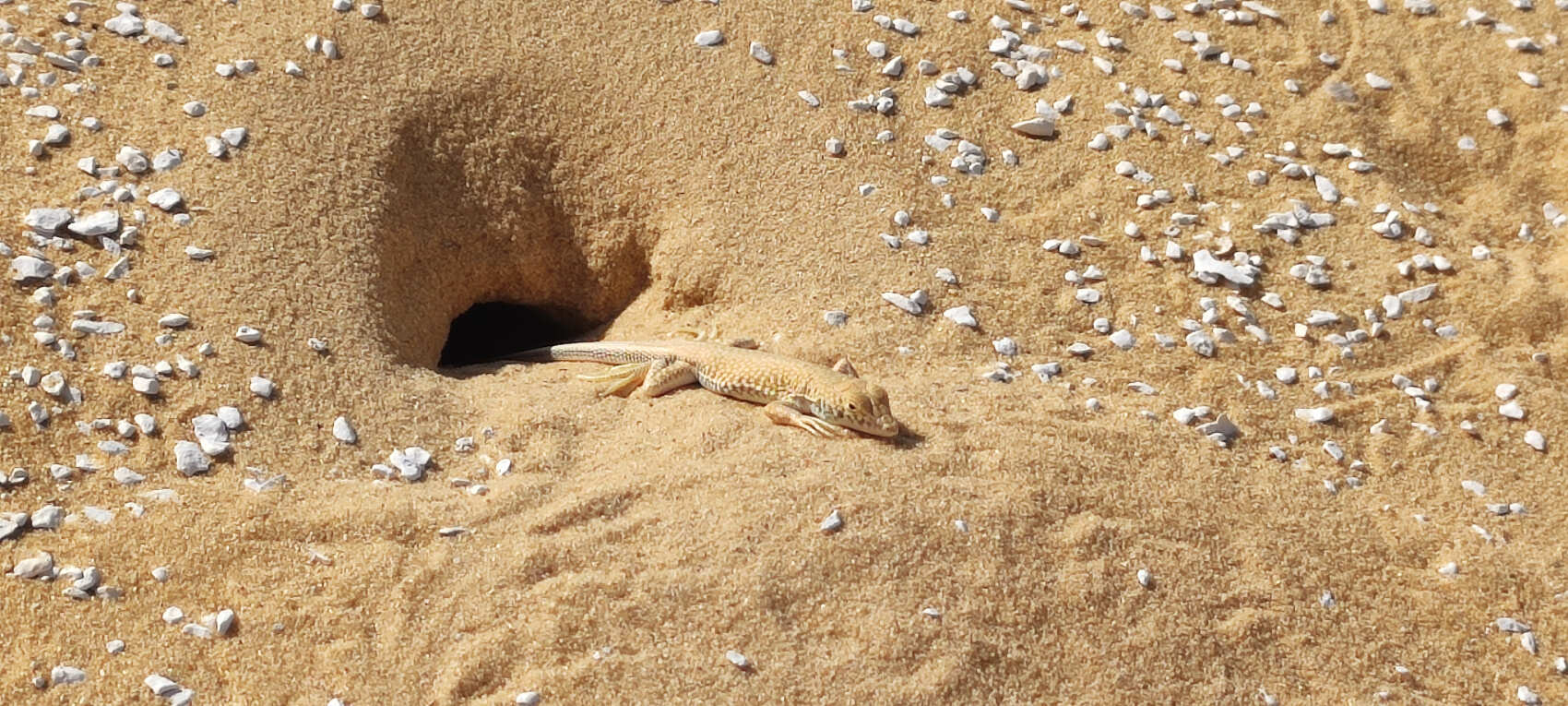 Осенний Египет: Величие Фараонов и Пески Пустынь! (18/55)