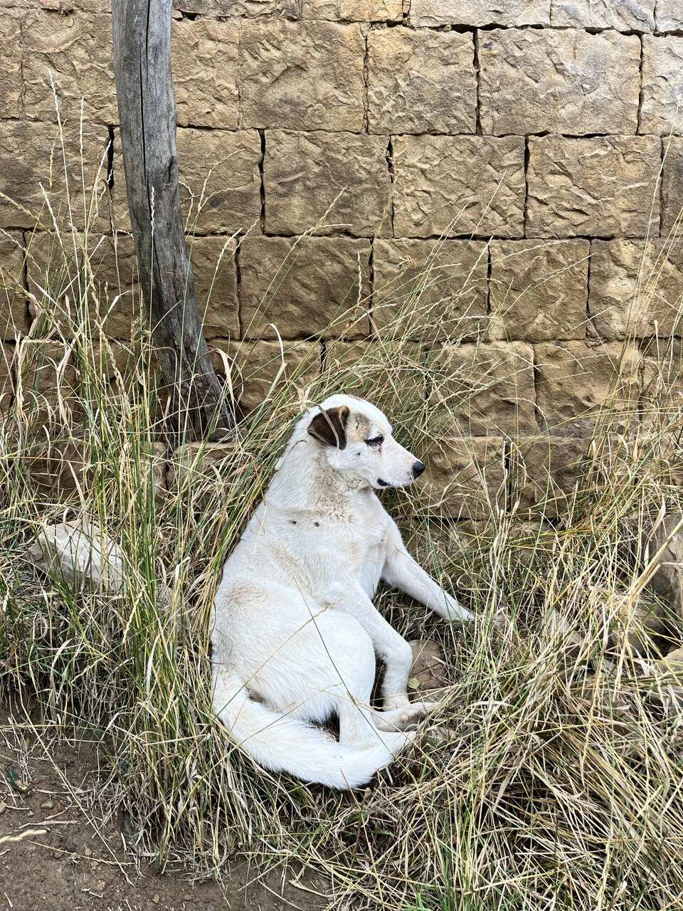 Дагестан за 5 дней: горы, кофе и море (7/29)