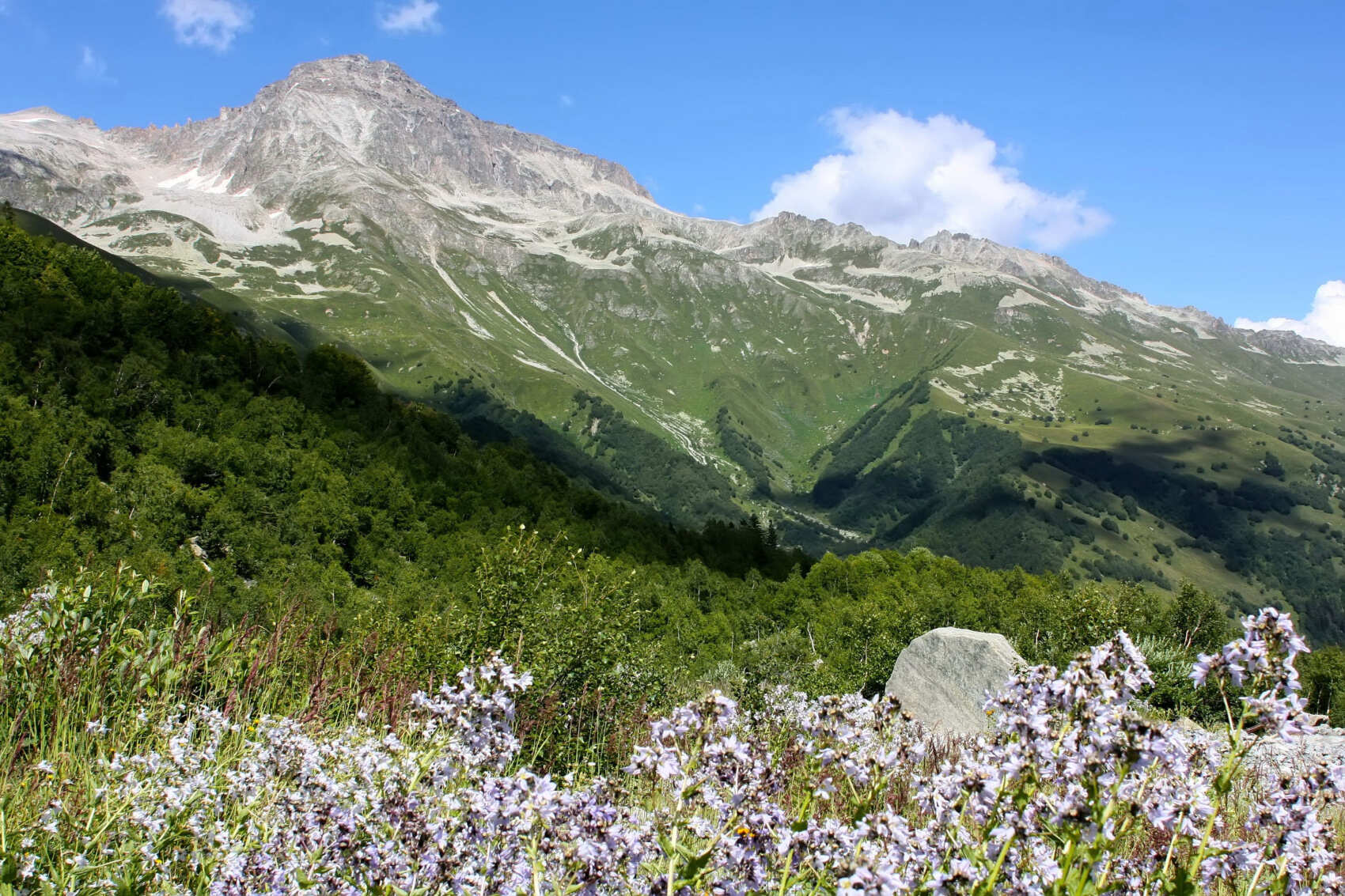 Сокровища Домбая (9/29)