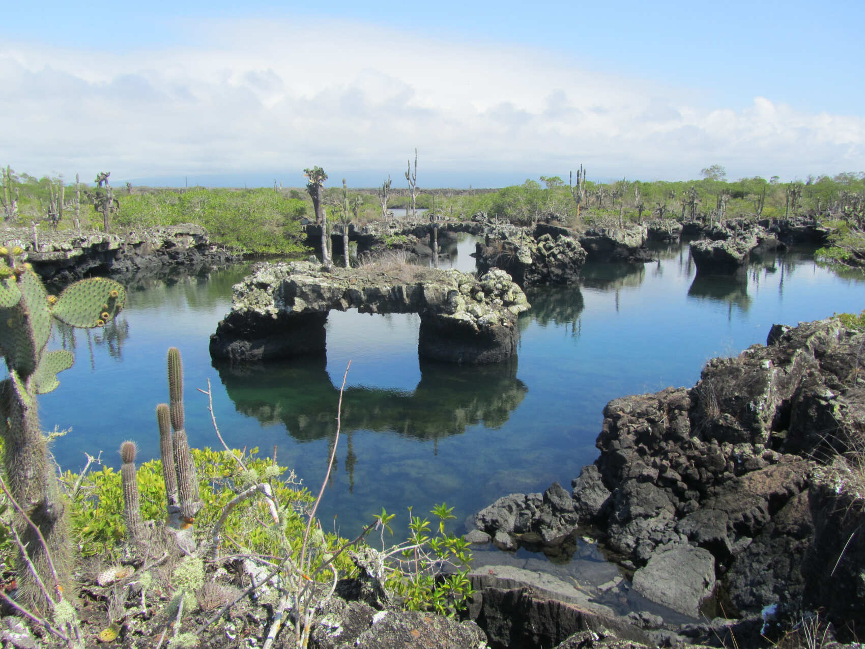 10 дней. Основные моменты Галапагосских островов: небольшая группа (2/18)