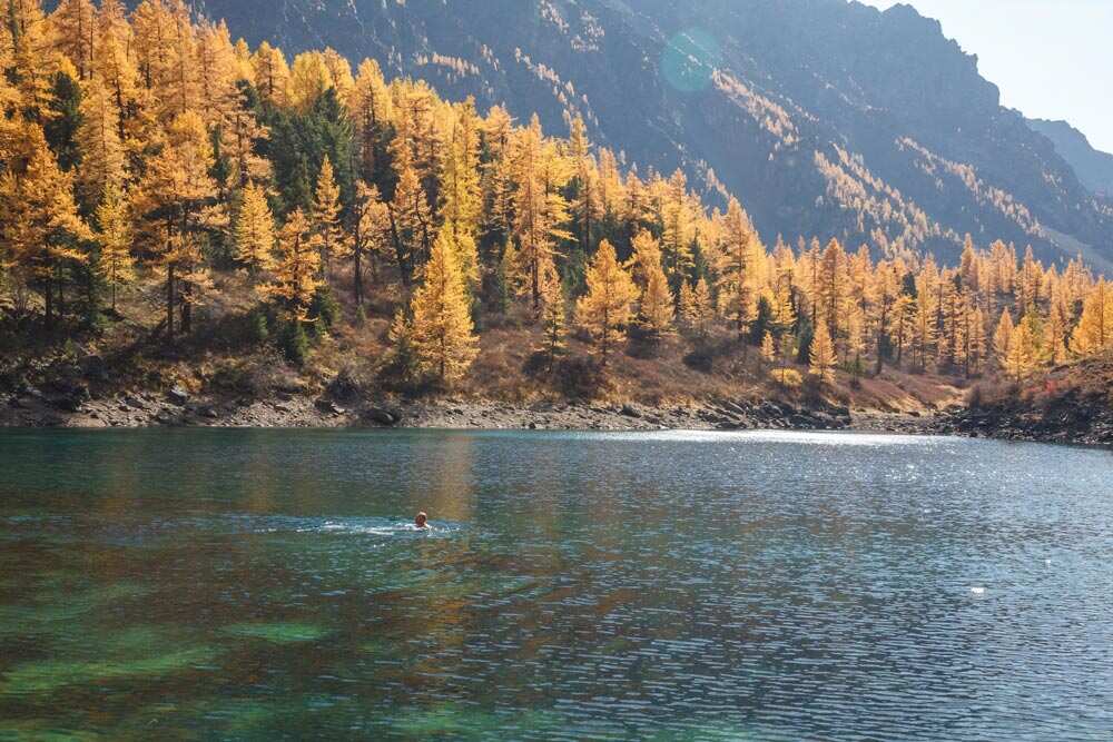 Фототур Золото Алтая (19/79)