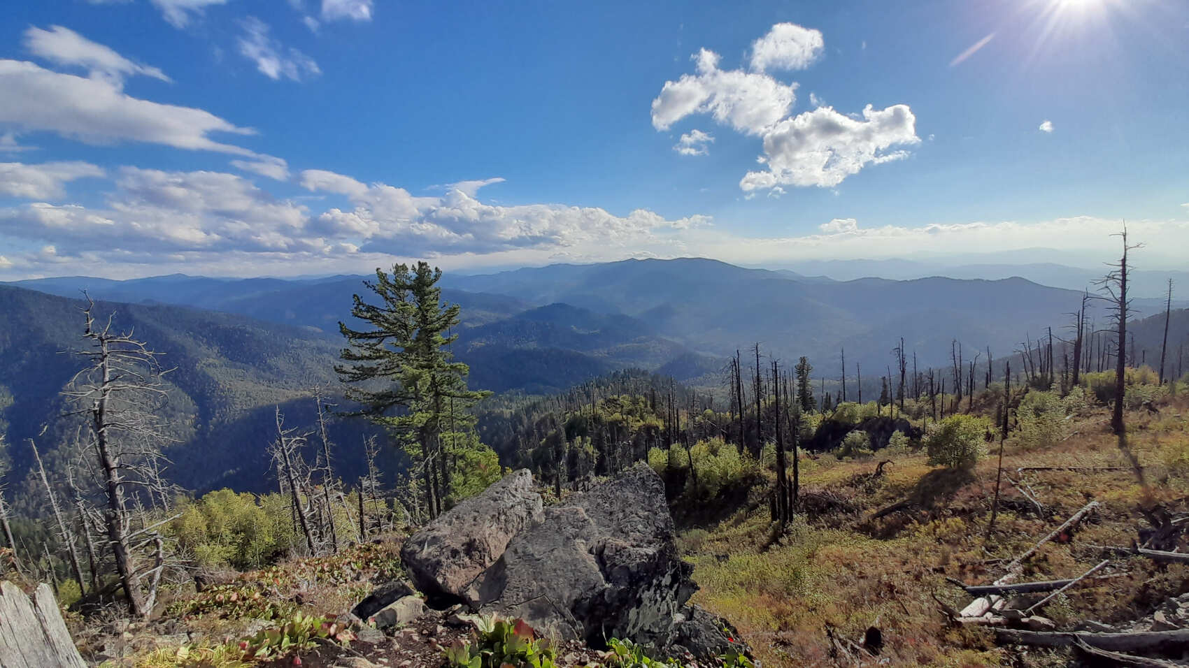 Алтай за 10 дней: обзорная экспедиция по топовым местам (35/68)
