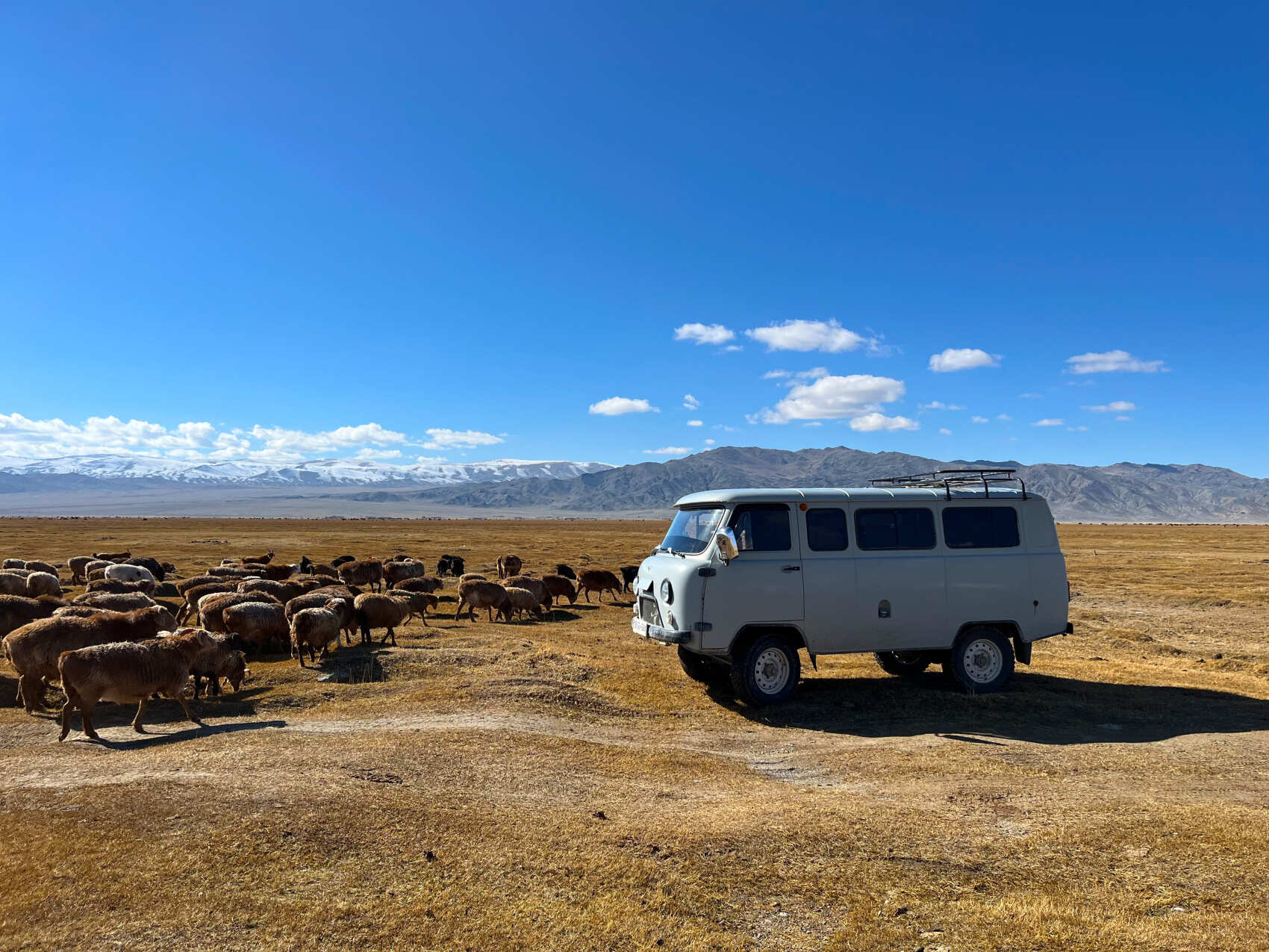 На фестиваль беркутов в Монголию + Чуйский тракт: вперед в прошлое! (3/37)