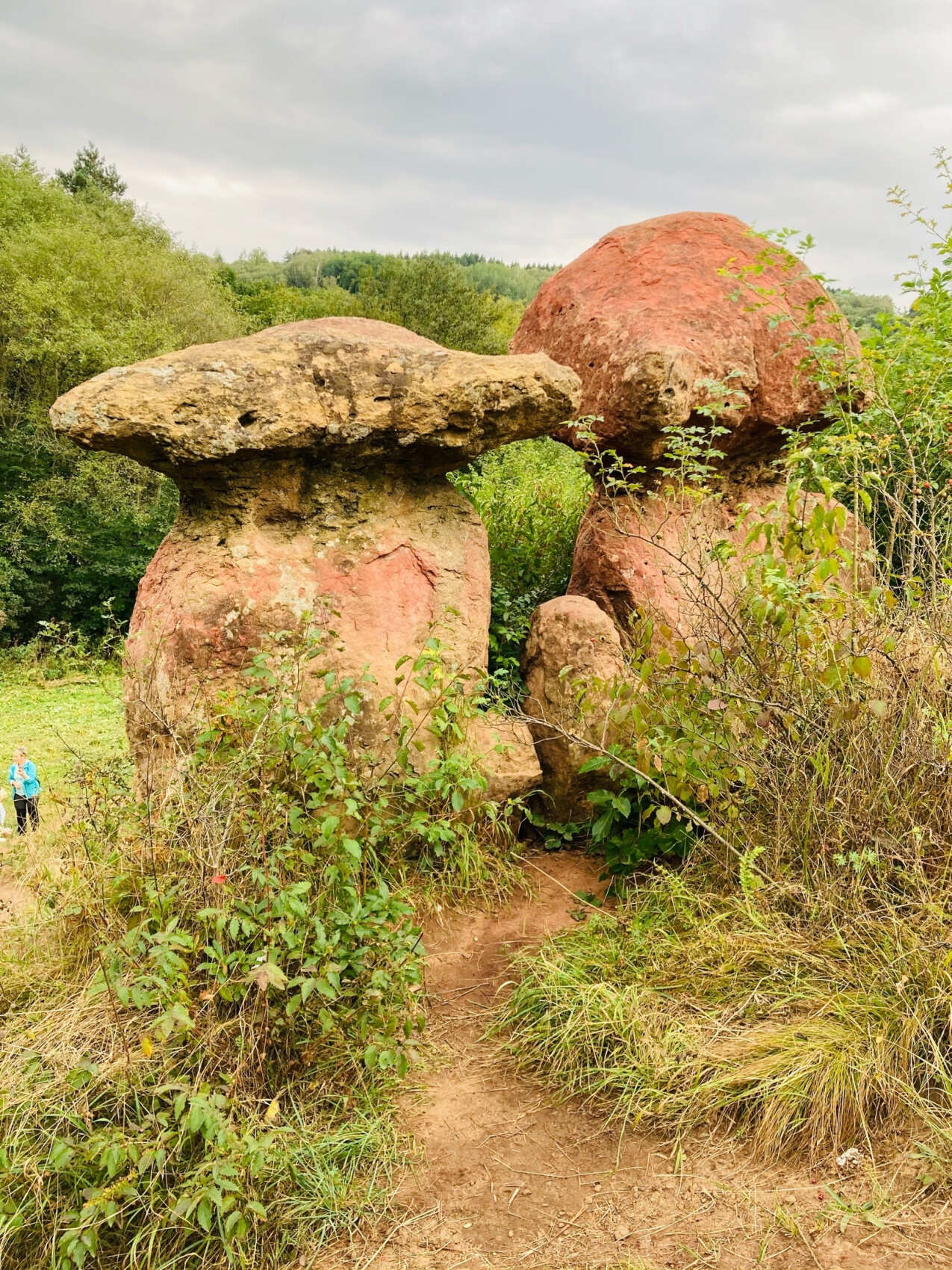 Пятигорск, Кисловодск, Железноводск и Домбай. Экспедиция (10/21)