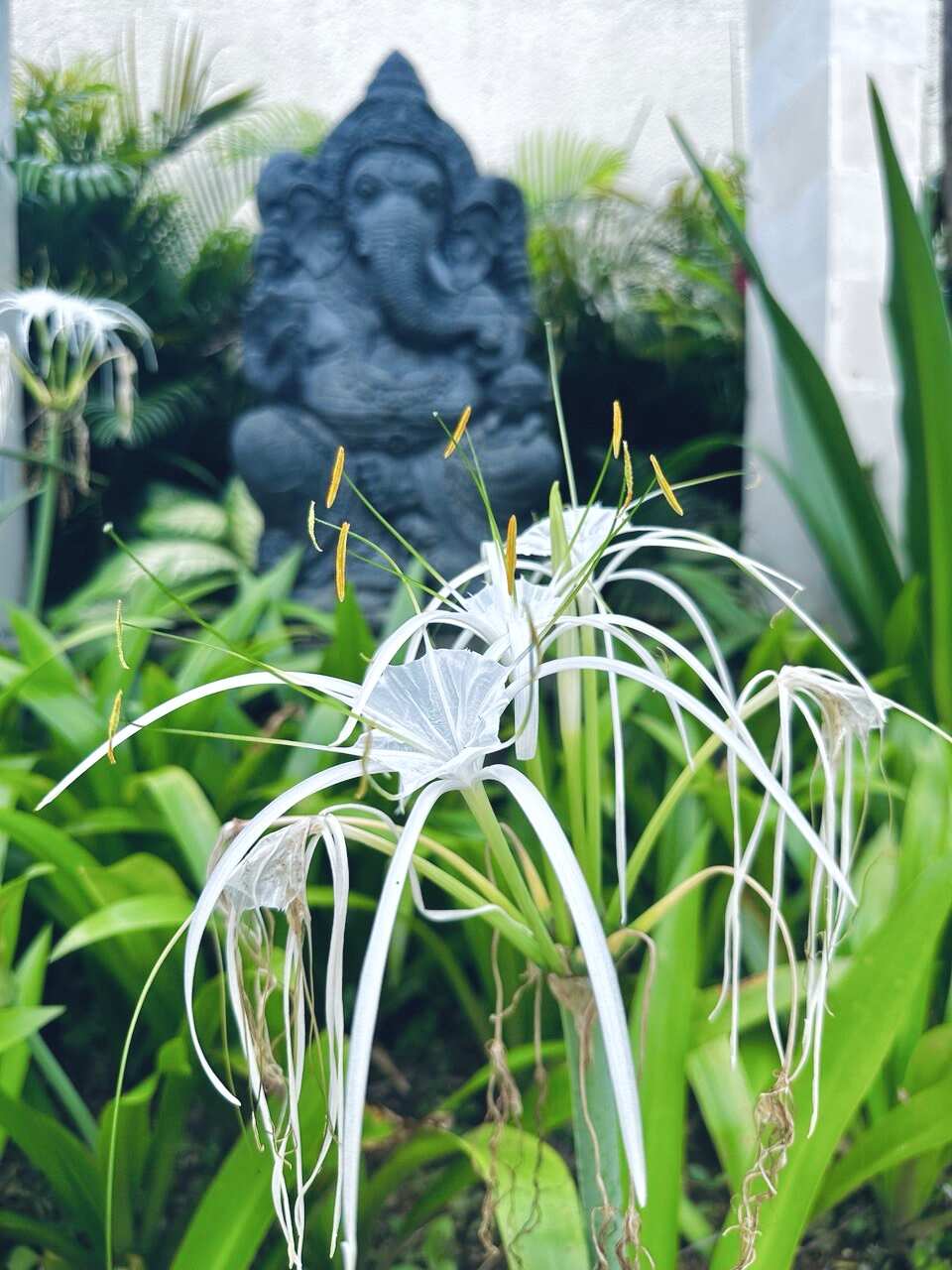 Фото-девичник на Бали за 10 дней (95/167)