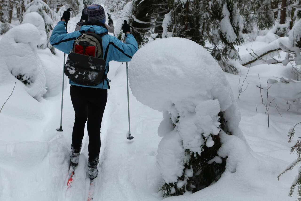 Лыжный день по сказочным местам. Однодневный выезд из Петербурга (6/17)