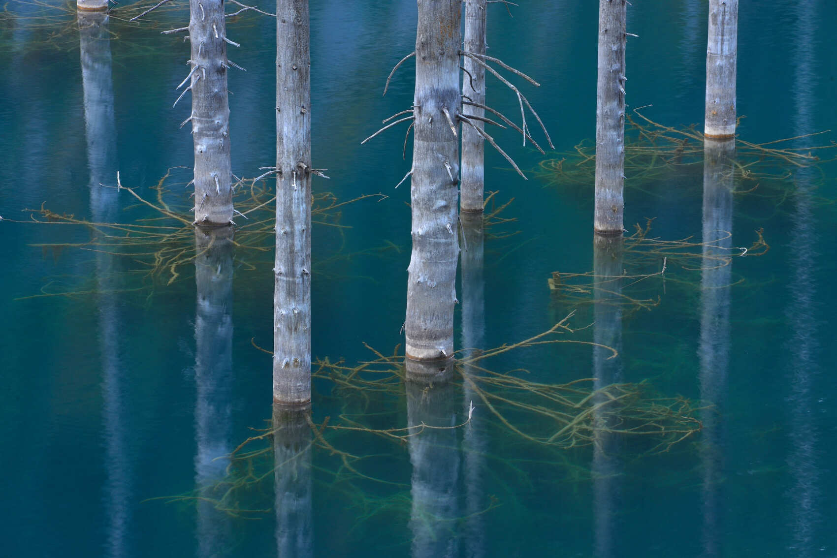 Фототур на Северный Тянь-Шань. Семиречье - жемчужина Казахстана. (100/126)