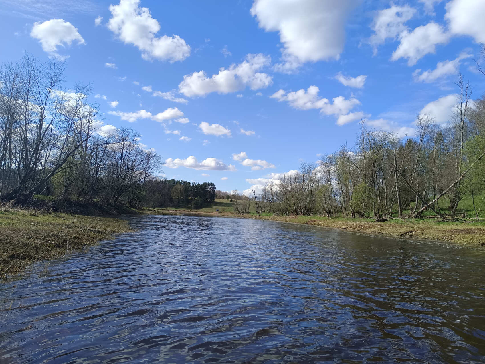 Сплав по реке Дёржа (Тверская обл.) на байдарках (1 день) (24/30)