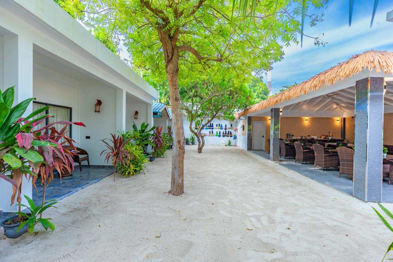 Тропическая дача: райский дайвинг, акулы и релакс (106/133)