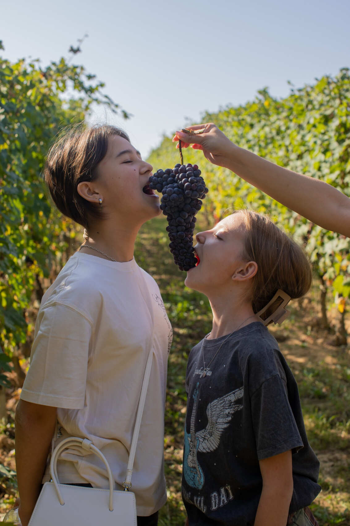 Семейное путешествие с охотой на трюфель в Пьемонте, Италия (6/15)