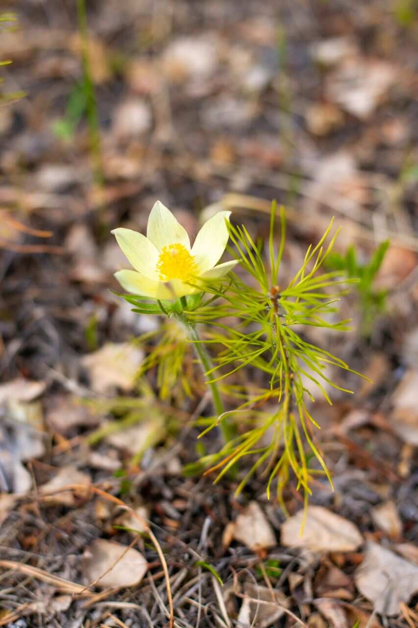 Сердце Саян — однодневная экскурсия в Нилову Пустынь (7/7)