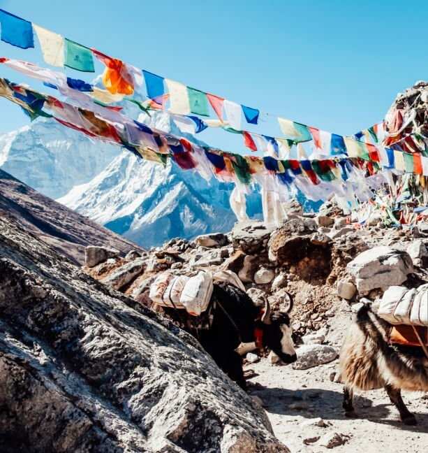 Восхождение на Мера-пик (6470 м) за 17 дней (23/25)